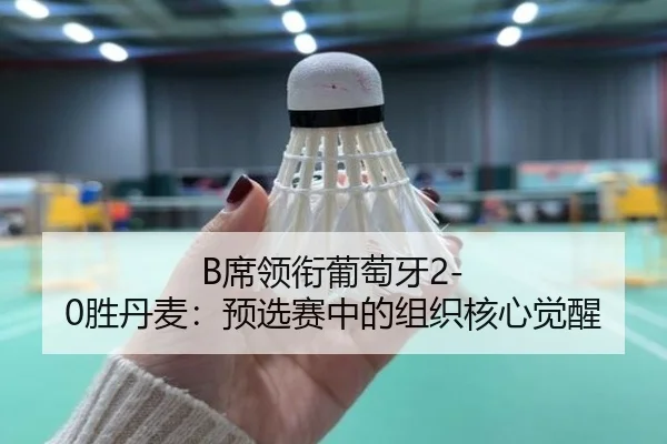 B席领衔葡萄牙2-0胜丹麦：预选赛中的组织核心觉醒