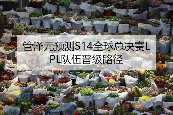 管泽元预测S14全球总决赛LPL队伍晋级路径